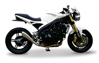 Picture for category SPEED TRIPLE  2005-2006