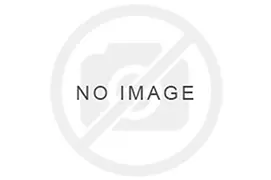 1290 SUPERDUKE GT 2017-2021